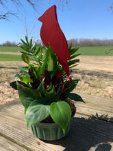 Load image into Gallery viewer, cardinal wooden floral pick for decora tion